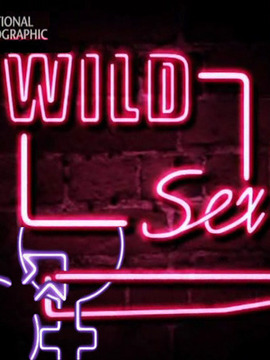 Wild Sex_电视猫