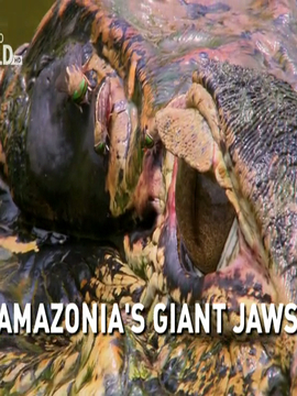 Amazonia's Giant Jaws