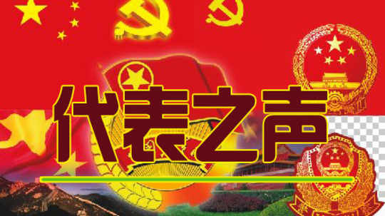 代表之声
