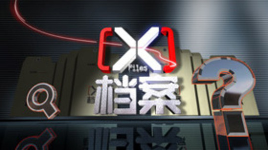 X档案