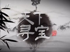天下寻宝