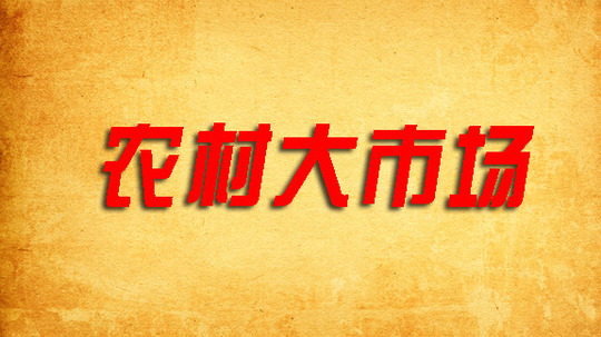 农村大市场