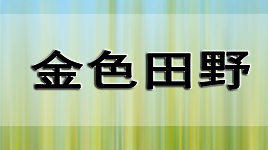 金色田野