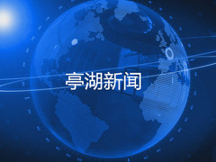 亭湖新闻