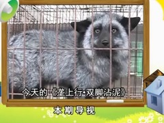 垄上行