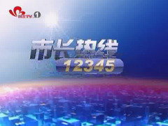 市长热线