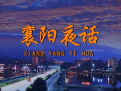 襄阳夜话