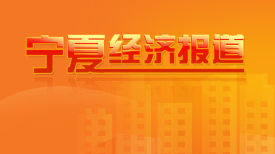 宁夏经济报道