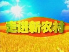 走進新農村