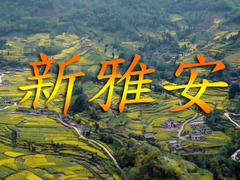 新雅安