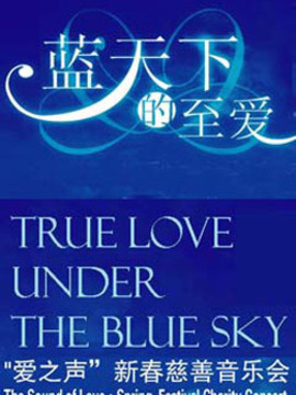 蓝天下的至爱慈善晚会