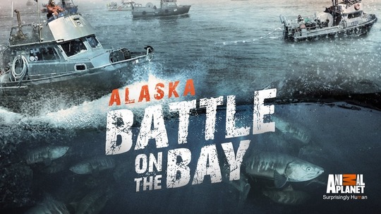 Alaska:Battle On The Bay