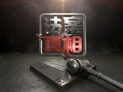 法案真相