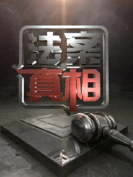 法案真相